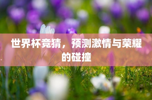 世界杯竞猜，预测激情与荣耀的碰撞