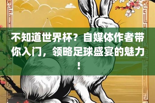 不知道世界杯？自媒体作者带你入门，领略足球盛宴的魅力！漯河市盈旭机械设备有限公司