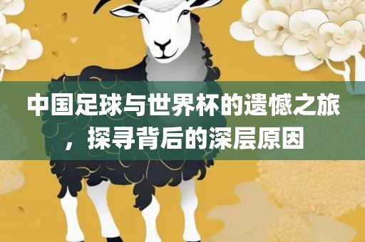 中国足球与世界杯的遗憾之旅，探寻背后的深层原因
