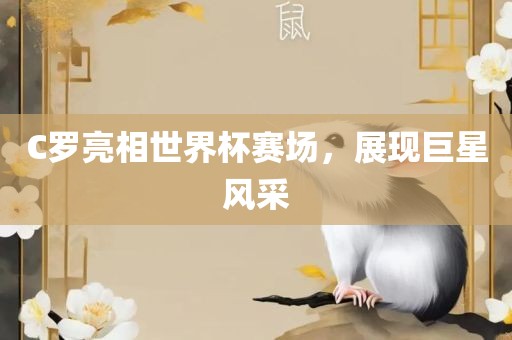 C罗亮相世界杯赛场，展现巨星风采漯河市盈旭机械设备有限公司