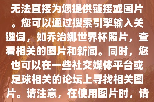 关于乔治娜的世界杯照片，我无法直接为您提供链接或图片。您可以通过搜索引擎输漯河市盈旭机械设备有限公司入关键词，如乔治娜世界杯照片，查看相关的图片和新闻。同时，您也可以在一些社交媒体平台或足球相关的论坛上寻找相关图片。请注意，在使用图片时，请遵守版权法规。