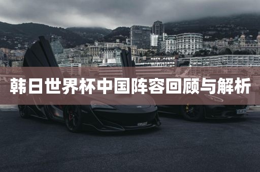 韩日世界杯中国阵容回顾与解析
