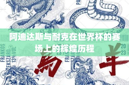 阿迪达斯与耐克在世界杯的赛场上的辉煌历程