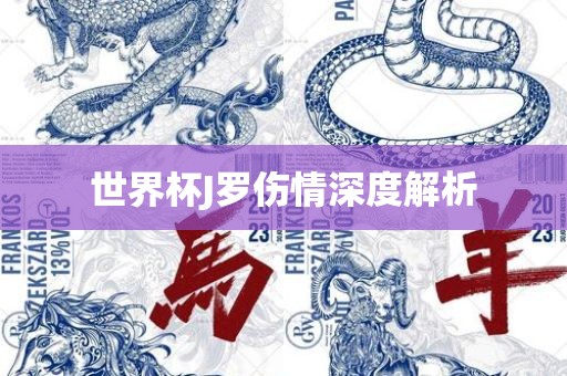 漯河市盈旭机械设备有限公司世界杯J罗伤情深度解析