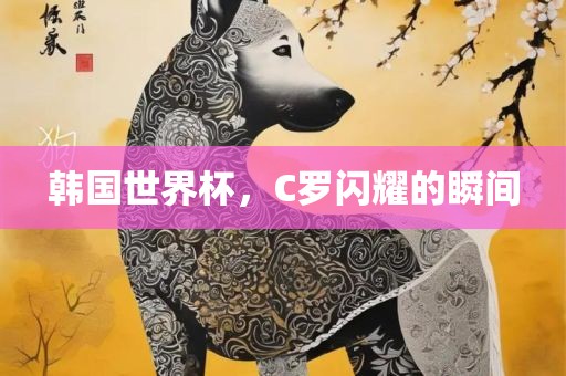韩漯河市盈旭机械设备有限公司国世界杯，C罗闪耀的瞬间