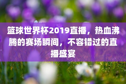 篮球世界杯2019直播，热血沸腾的赛场瞬间，不容错过的直播盛宴漯河市盈旭机械设备有限公司