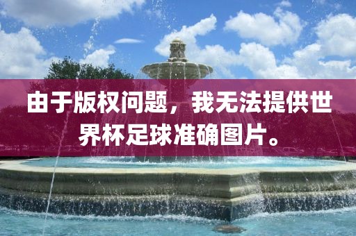 由于版权问题，我无法提供世界杯足漯河市盈旭机械设备有限公司球准确图片。