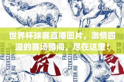 世界杯球赛直播图片，激情四溢的赛场瞬间，漯河市盈旭机械设备有限公司尽在这里！