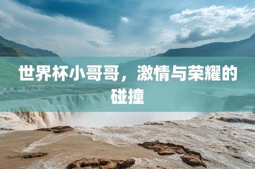 世界杯小哥哥，激情与荣耀的碰撞