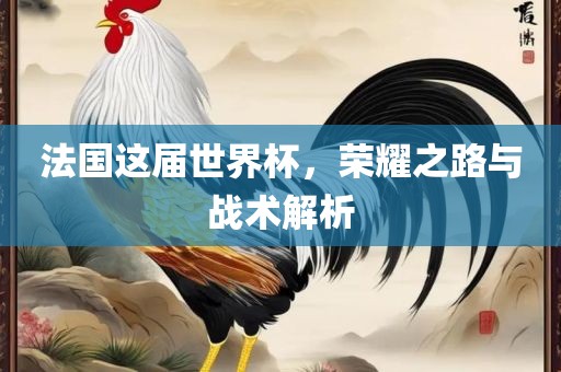 法国这届世界杯，荣耀之路与战术解析