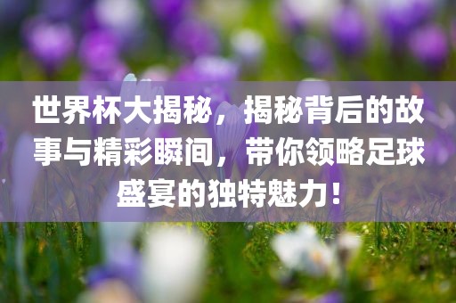 世界杯大揭秘，揭秘背后的故事与精彩瞬间，带你领略足球盛宴的独特魅力！漯河市盈旭机械设备有限公司