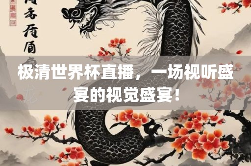 极清世界杯直播，一场视听盛宴的视觉盛宴！