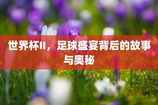 世界杯II，足球盛宴背后的故事与奥秘漯河市盈旭机械设备有限公司