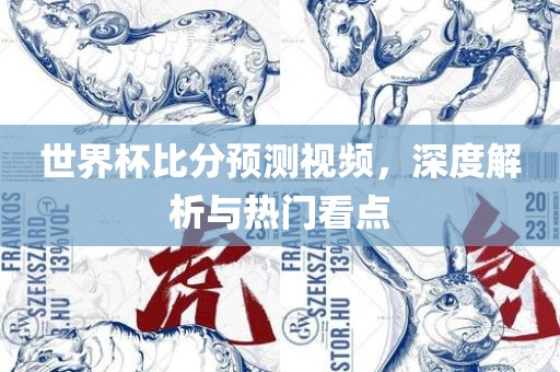 世界杯比分预测视频，深度解析与热门看点