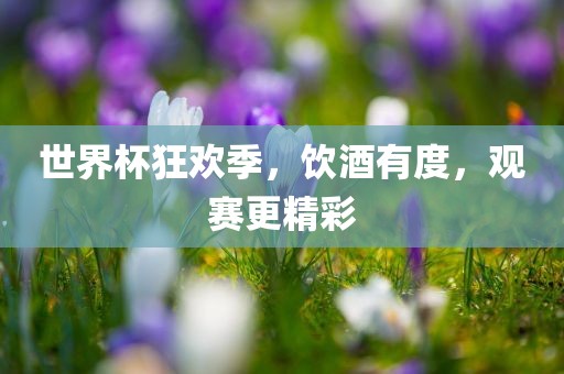 世界杯狂欢季