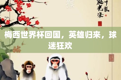 梅西世界杯回国，英雄归来，球迷狂欢