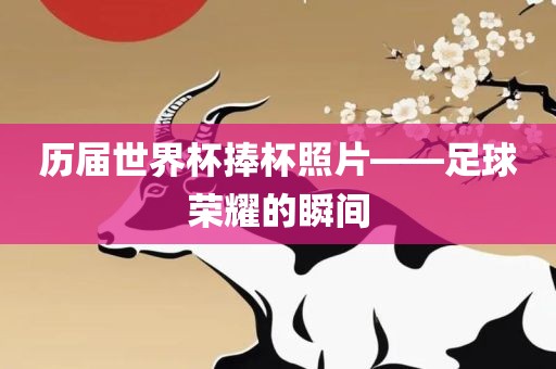 历届世界杯捧杯照片——足球荣耀的瞬间漯河市盈旭机械设备有限公司
