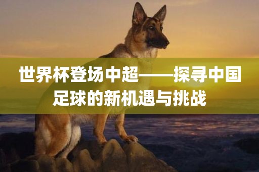 世界杯登场中超——探寻中国足球的新机遇与挑战