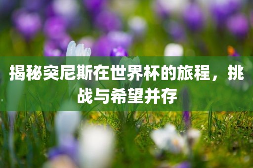 揭秘突尼斯在世界杯的旅程，挑战与希望并存