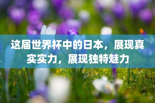 这届世界杯中的日本，展现真实实力漯河市盈旭机械设备有限公司，展现独特魅力