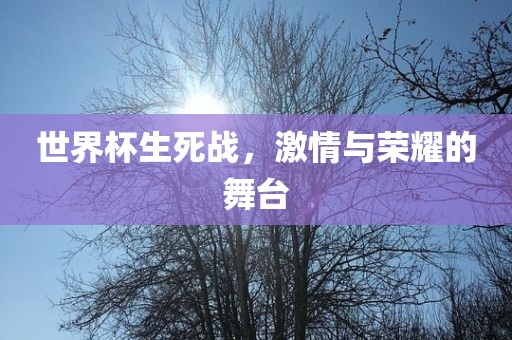 世界杯生死战，激情与荣耀的舞台