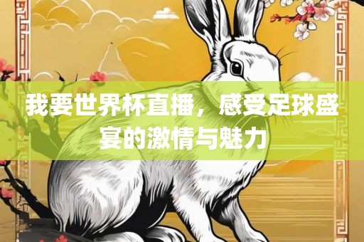 我要世界杯直播，感受足球盛宴的激情与魅力