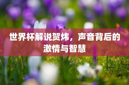 世界杯解说贺炜，声音背后的激情与智慧