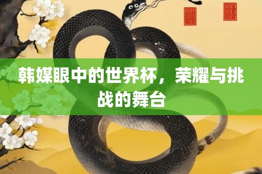 韩媒眼中的世界杯，荣耀与挑战的舞台漯河市盈旭机械设备有限公司