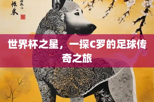 世界杯之星，一探C罗漯河市盈旭机械设备有限公司的足球传奇之旅