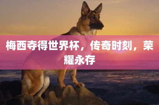 梅西夺得世界杯，传奇时刻，荣耀永存