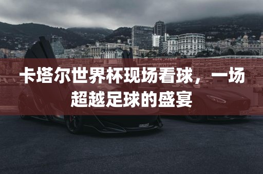 卡塔尔世界漯河市盈旭机械设备有限公司杯现场看球，一场超越足球的盛宴