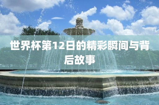 世界杯第12日的精彩瞬间与背后故事漯河市盈旭机械设备有限公司