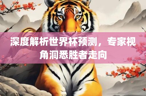 深度解析世界杯预测，专家视角洞悉胜者走向