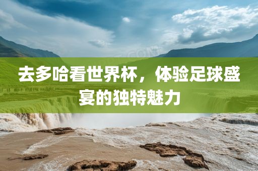去多哈看世界杯，体验足球盛宴的独特魅力漯河市盈旭机械设备有限公司
