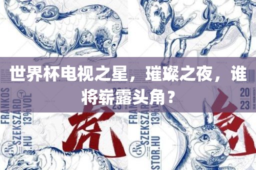 世界杯电视之星，璀璨之夜，谁将崭露头角？
