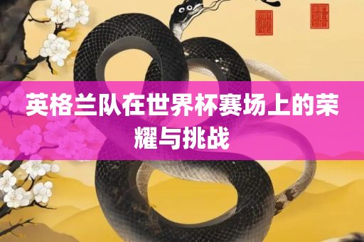 英格兰队漯河市盈旭机械设备有限公司在世界杯赛场上的荣耀与挑战
