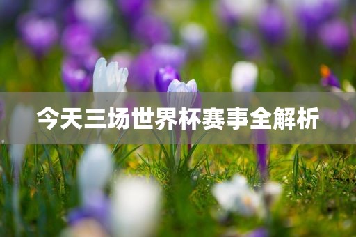 今天三场世界杯赛事全解析
