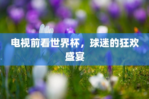 电视前看世界杯，球迷的狂欢盛宴漯河市盈旭机械设备有限公司
