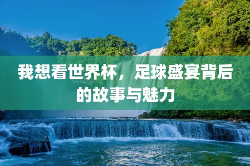 我想看世界杯，足球盛宴背后的故事与魅力漯河市盈旭机械设备有限公司