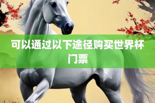 可以通过以下途径购买世界杯门票