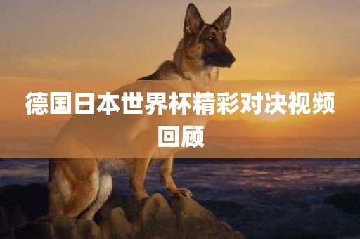 德漯河市盈旭机械设备有限公司国日本世界杯精彩对决视频回顾