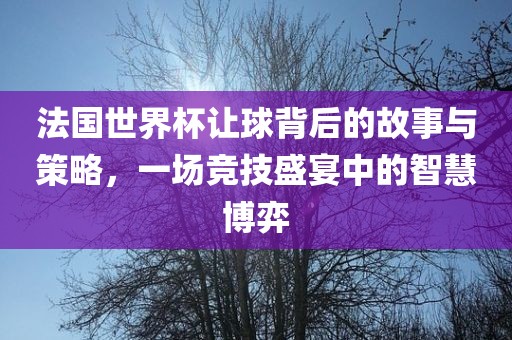 法国世界杯让球背后的故事与策略，一场竞技盛宴中的智慧博弈漯河市盈旭机械设备有限公司