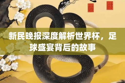 新民晚报深度解析世界杯，足球盛宴背后的故事漯河市盈旭机械设备有限公司