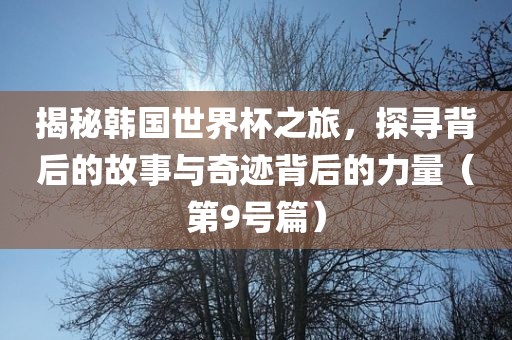 揭秘韩国世界杯之旅，探寻背后的故事与奇迹背后的力量（第9号篇）