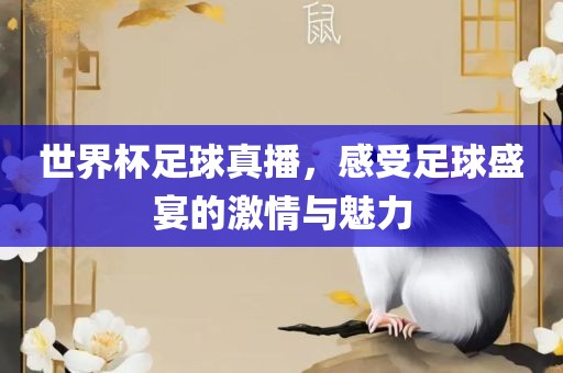 世界杯足球真播，感受足球盛宴的激情与魅力