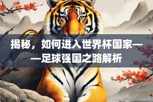 揭秘，如何进入世界杯国家——足球强国之路解析