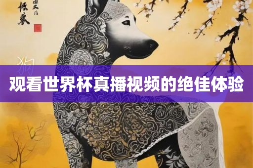 观看世界杯真播视频的绝佳体验漯河市盈旭机械设备有限公司