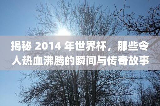揭秘 2014 年世界杯，那些令人热血沸腾的瞬间与传奇故事漯河市盈旭机械设备有限公司
