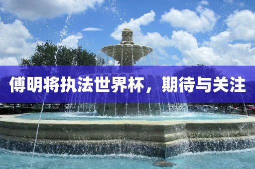 傅明将执法世界杯，期待与关注