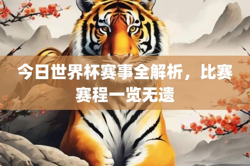 今日世界杯赛事全解析，比赛赛程一览无遗
